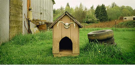 特别好评游戏《雨中迷失之人》即将添加官方中文